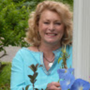 Meet your Posher, Donna dia